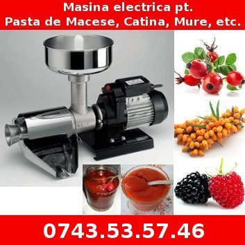 Vand Masina electrica pentru Pasta de Macese