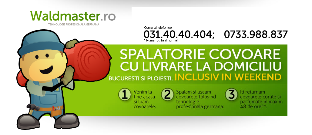 Spalatorie de Covoare Waldmaster