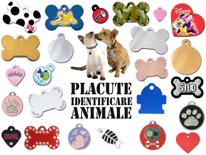 Medalioane personalizate pentru animale