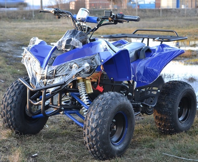 ATV ManiaK Warrior Electric 1000W Import Germania