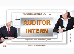 Curs online Auditor intern