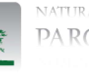 Natural Home Parchet