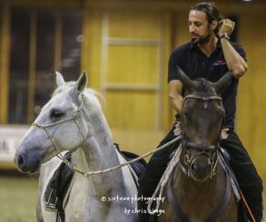 Clubul Equestria gazduieste demonstratii de dresaj natural, sustinute de actorul Denis Stefan
