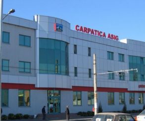 carpatica