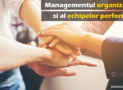 Managementul Organizatiilor si al Echipelor Performante