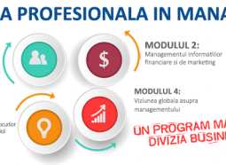 Diploma Profesionala in Management