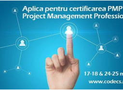 Project Management Professional