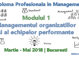 Diploma Profesionala in Management