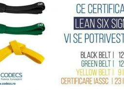 Lean Six Sigma Series