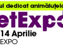 pet-expo