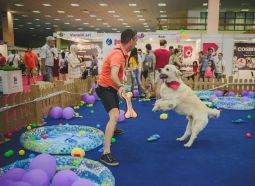 petexpo