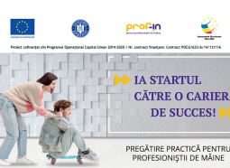 banner header comunicat Profin