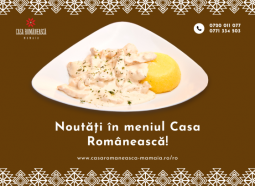 restaurant preparate traditionale constanta