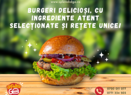 livrare burger constanta