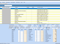 software gestionare salarii