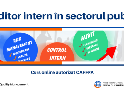 Top Quality Management organizează cursul Auditor intern in sectorul public