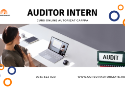 Curs online autorizat Auditor intern