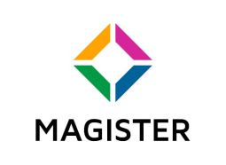 Magister_solutii_software_retail