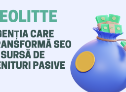 SEOLITTE: agenția care transformă SEO în sursă de venituri pasive