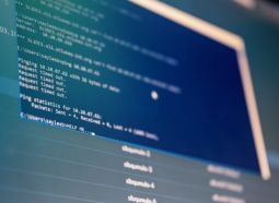Servicii de hosting necalitative