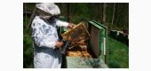 DE VANZARE: Miere de albine 100% naturala! Productie 2015! 20 RON/kg