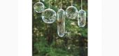 Terarium , boluri de sticla pentru plante