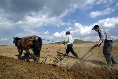 Inapoi la natura: Agribusiness-urile au inflorit dupa primul val de criza