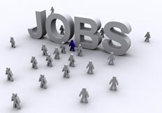 angajatori activi, emmerson, oracle, hella, joburi oracle, joburi IT, oferte locuri de munca