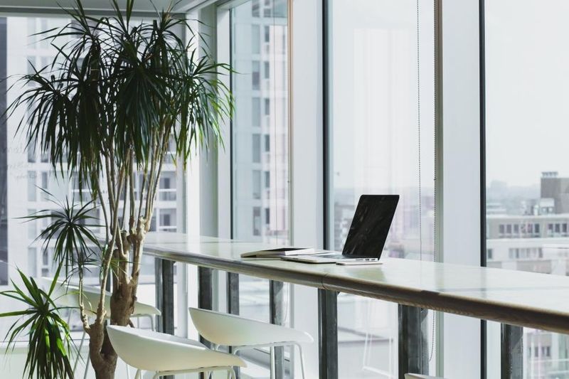 De ce renunta tot mai multe companii la testele eliminatorii in recrutarea de angajati De ce renunta tot mai multe companii la testele eliminatorii in recrutarea de angajati