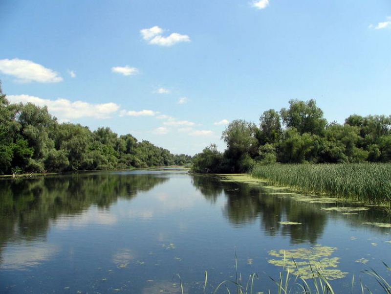 Cu Google Maps în Delta Dunării - explorează natura în tururi virtuale