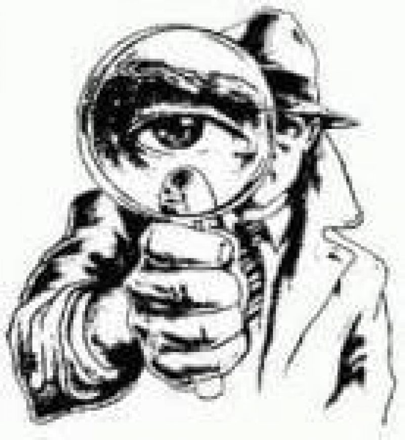 Detectivi Profesionisti detectivi particulari