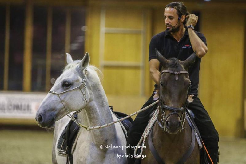 Clubul Equestria gazduieste demonstratii de dresaj natural, sustinute de actorul Denis Stefan