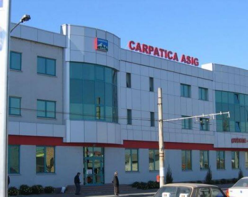 carpatica