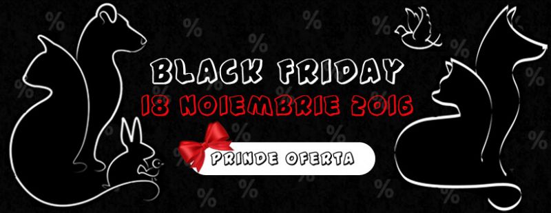 Black Friday 18 noiembrie 216