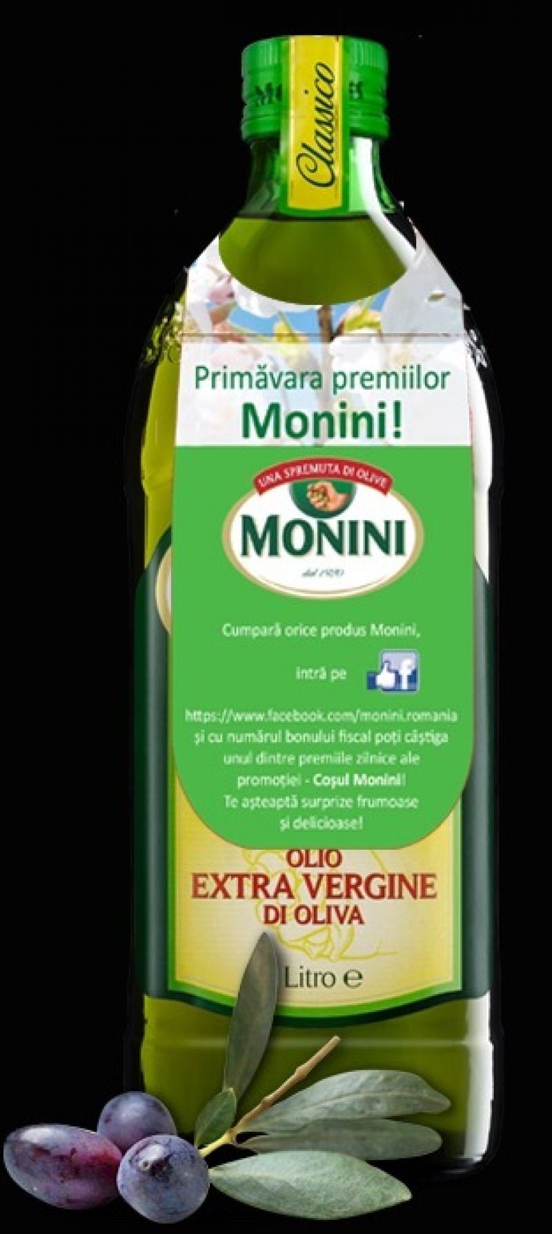 Primavara Premiilor Monini