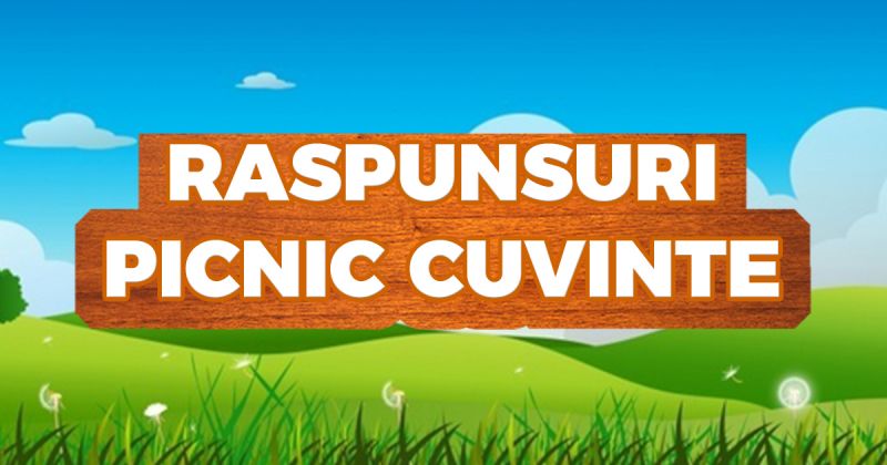 Raspunsuri Picnic Cuvant