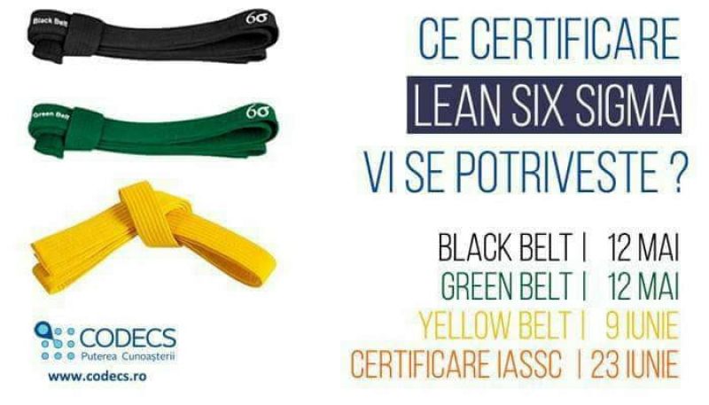 Lean Six Sigma Series