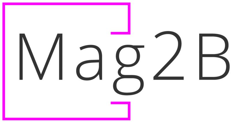 Mag2B – platforma online Magento & MS Dynamics NAV – B2B pentru gestionarea relaţiilor cu partenerii