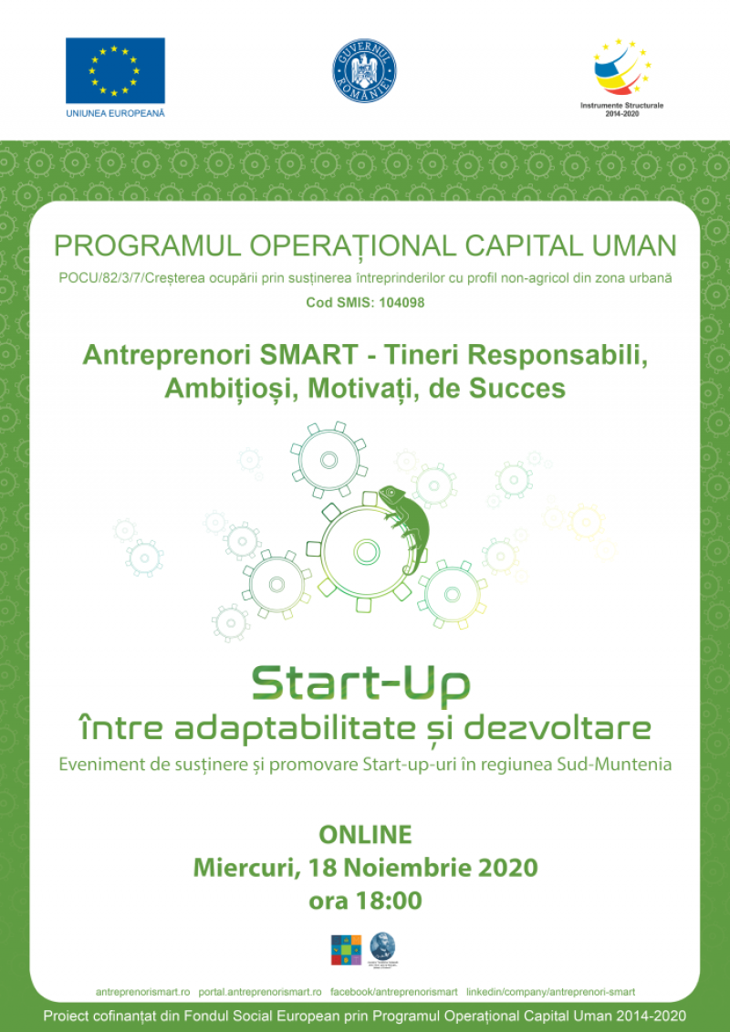 Antreprenori SMART