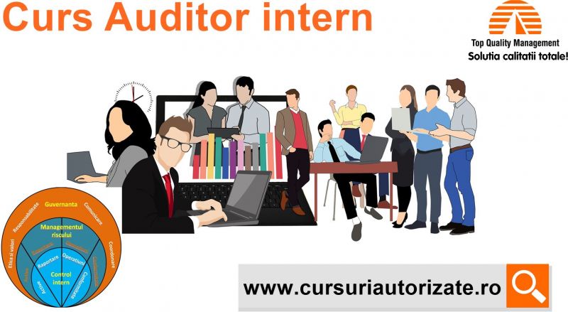 Curs online Auditor intern