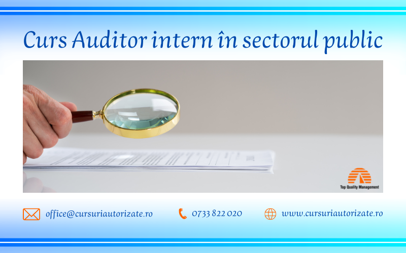 Auditor intern in sectorul public