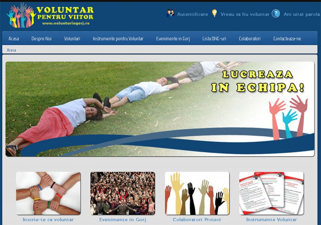 Voluntar Pentru Viitor Voluntar Pentru Viitor